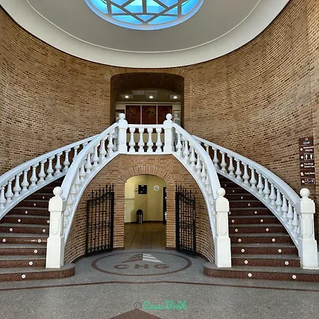 Casa Brut - Nova Oliva