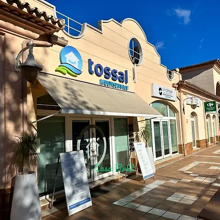 Casa Brut - Nova * Oliva