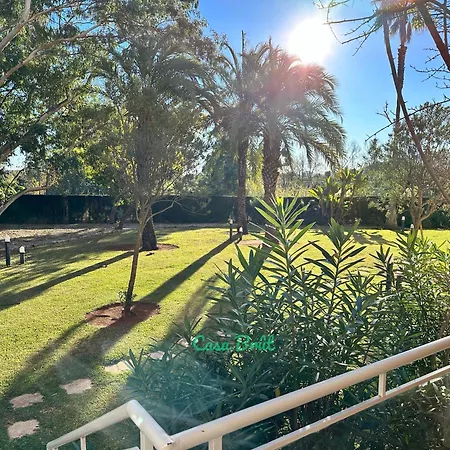 Casa Brut - Nova * Oliva