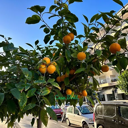 Casa Brut - Nova Apartmán